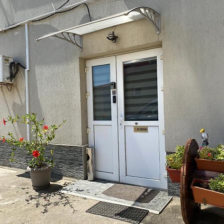 Evergreen Apartment Timişoara Exterior foto